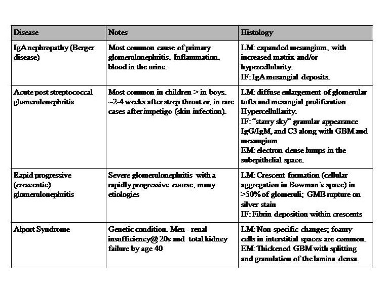 Histology Kidney- Glomerulus. Table 1
