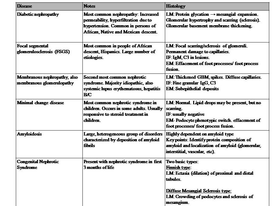 Histology Kidney Glomerulus. Table 2