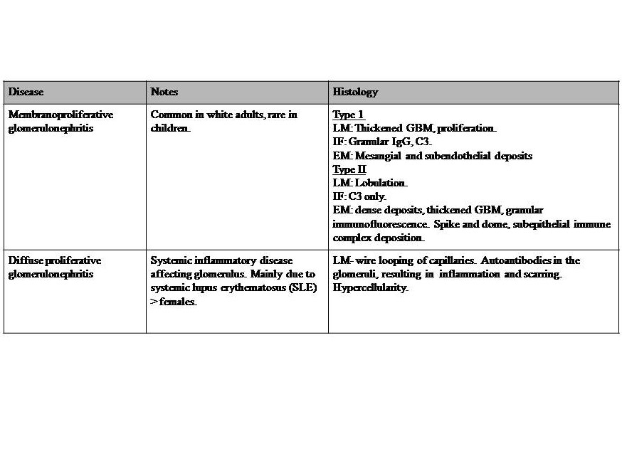 Histology Kidney Glomerulus. Table 3