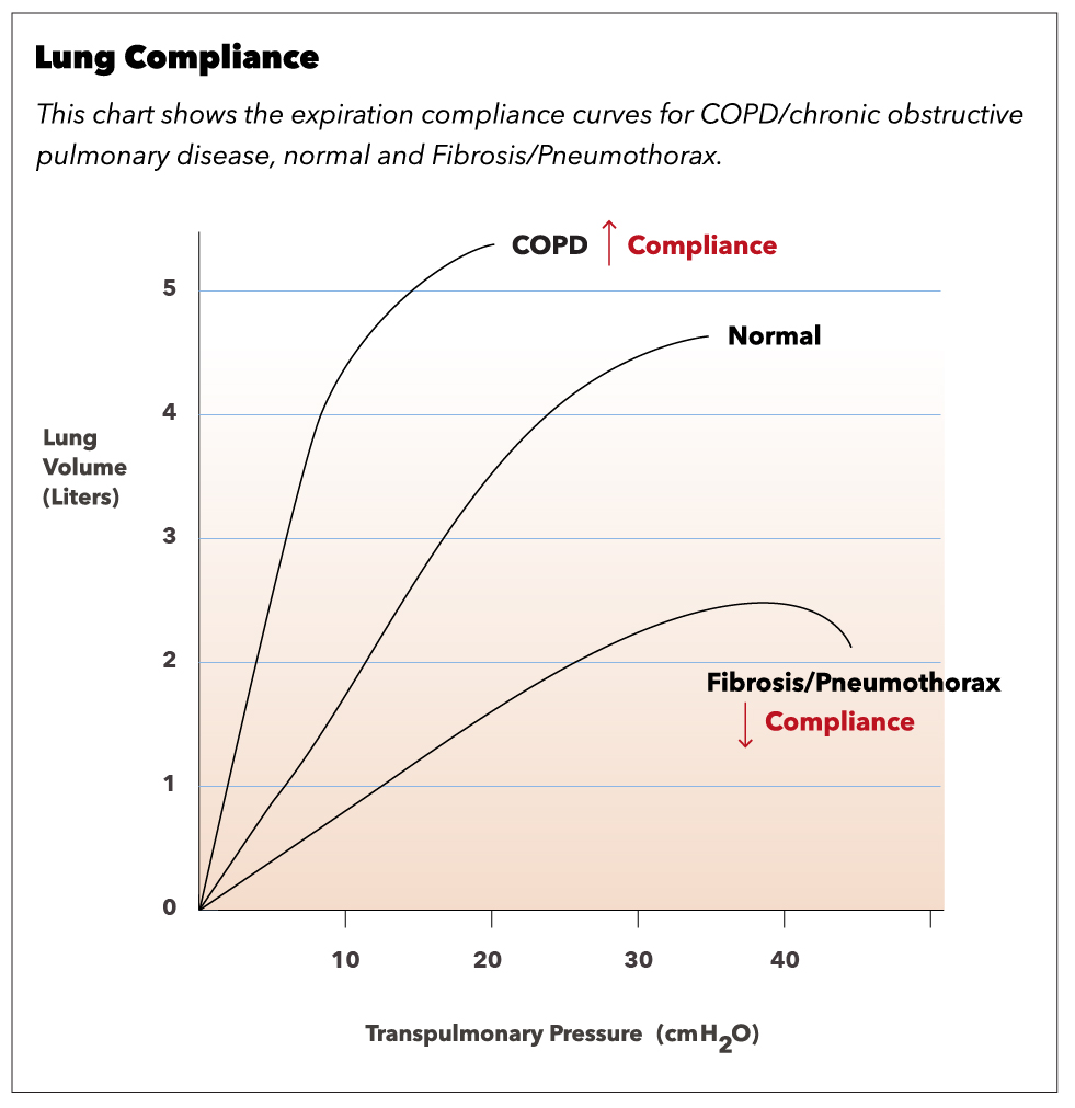<p>Lung compliance</p>