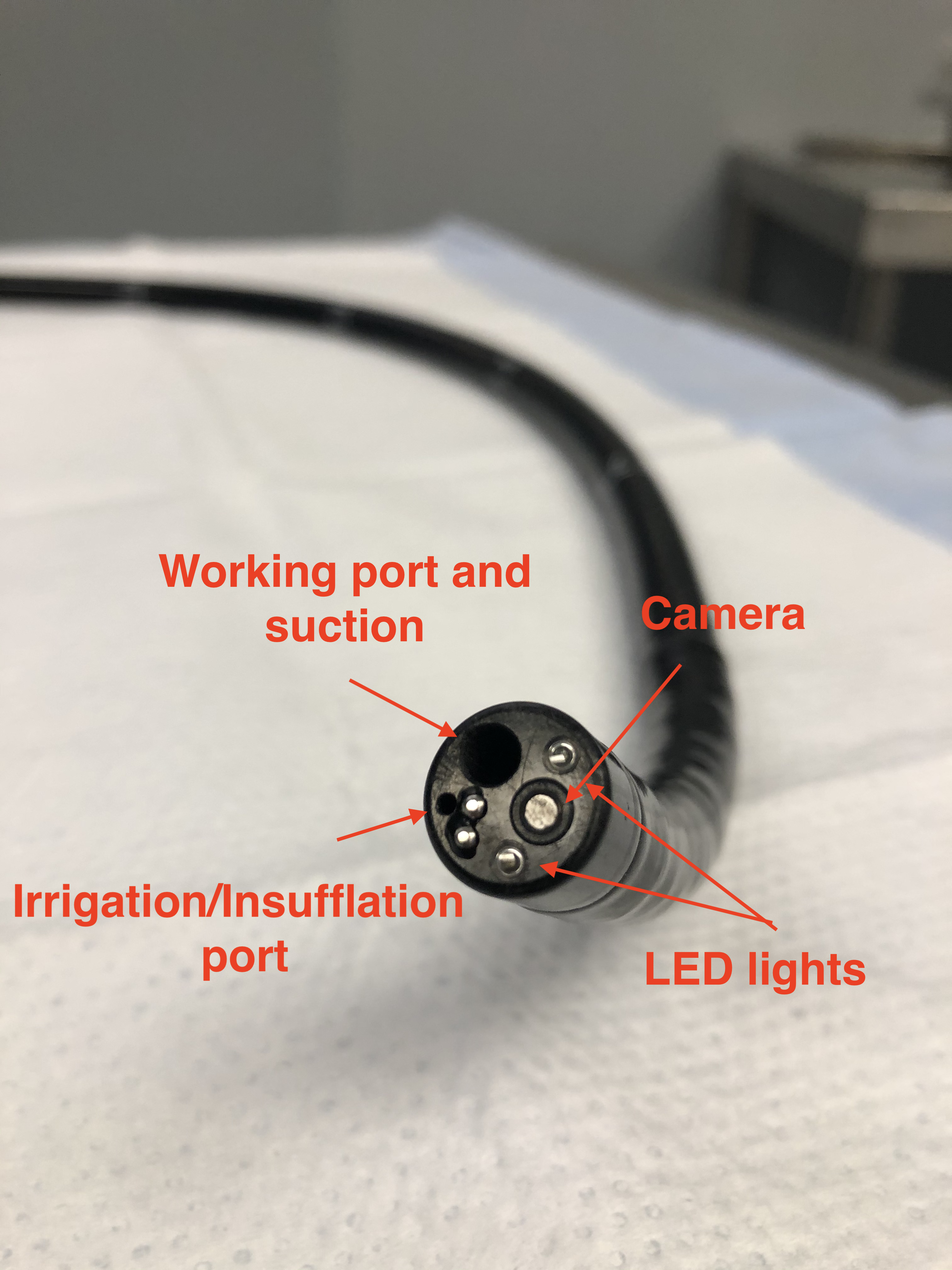 Colonoscope parts and definitions