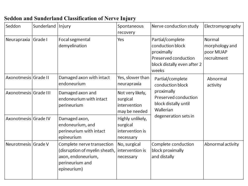 Seddon and Sunderland classification of nerve injury