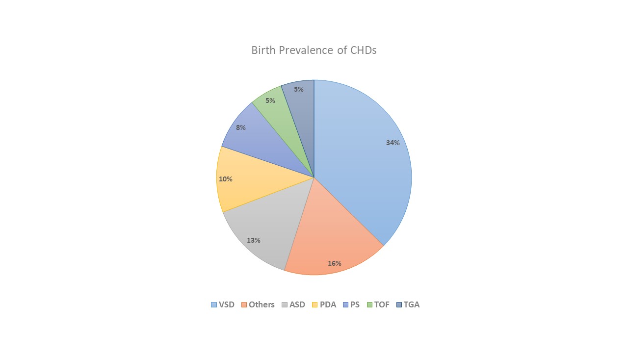 Birth prevalence of CHDs. Please insert this in introduction part of the article.