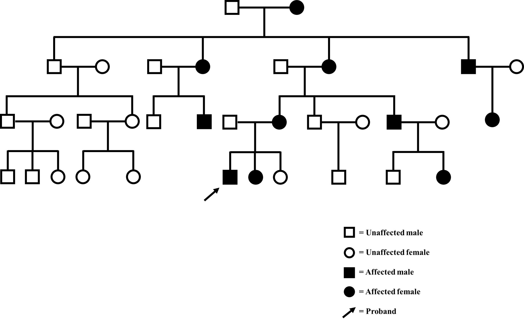 A 28-year-old gentleman presented with inability to walk fast. Examination revealed pes cavus, hammer toes, wasting of all extremities distally and generalised areflexia. He reported that several of his family members had foot deformities and were ‘slow’. His pedigree chart is provided. What is the pattern of inheritance?