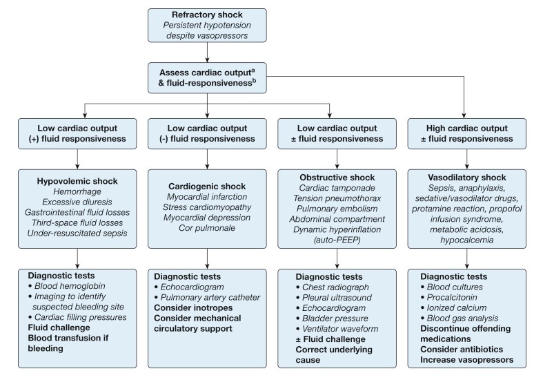 Suggested diagnostic approach for identifying reversible contributors to refractory shock, based on assessment of cardiac output and fluid responsiveness. a Measurement of central or mixed venous oxygen saturation can be used as a surrogate for cardiac output in many patients. b Measures of fluid responsiveness can include respiratory pulse-pressure or stroke volume variation and passive straight-leg raise. PEEP = positive end-expiratory pressure.