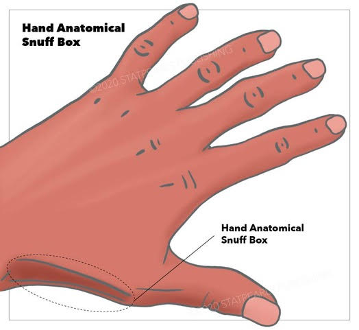 Hand Anatomical Snuffbox