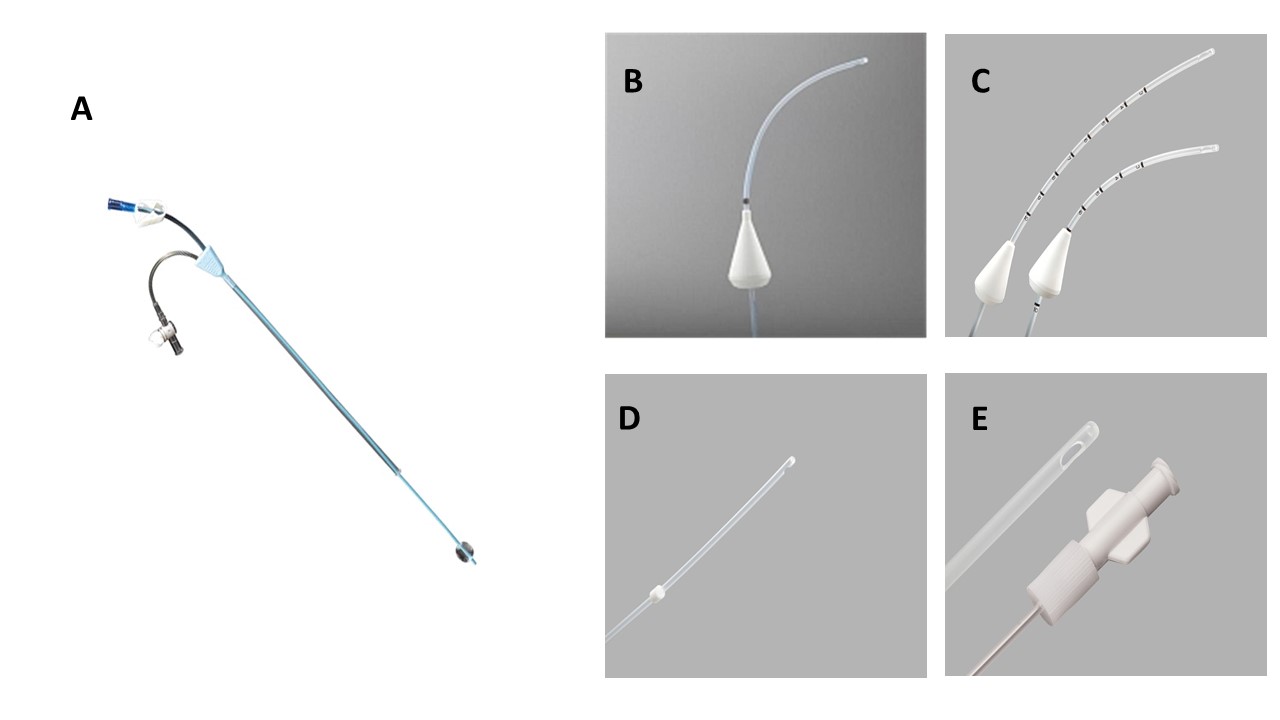 Figure 7: Different types of Catheters used for Saline infusion sonogram (SIS). [A] Ackrad H/S elliptosphere catheter (5 Fr); [B] Goldstein catheter (5.2-5.4 Fr); [C] Goldstein Sonobiopsy catheter (7.2 Fr); [D] Soules catheter (5.3 Fr); [E] Shepard catheter (5.4 Fr).