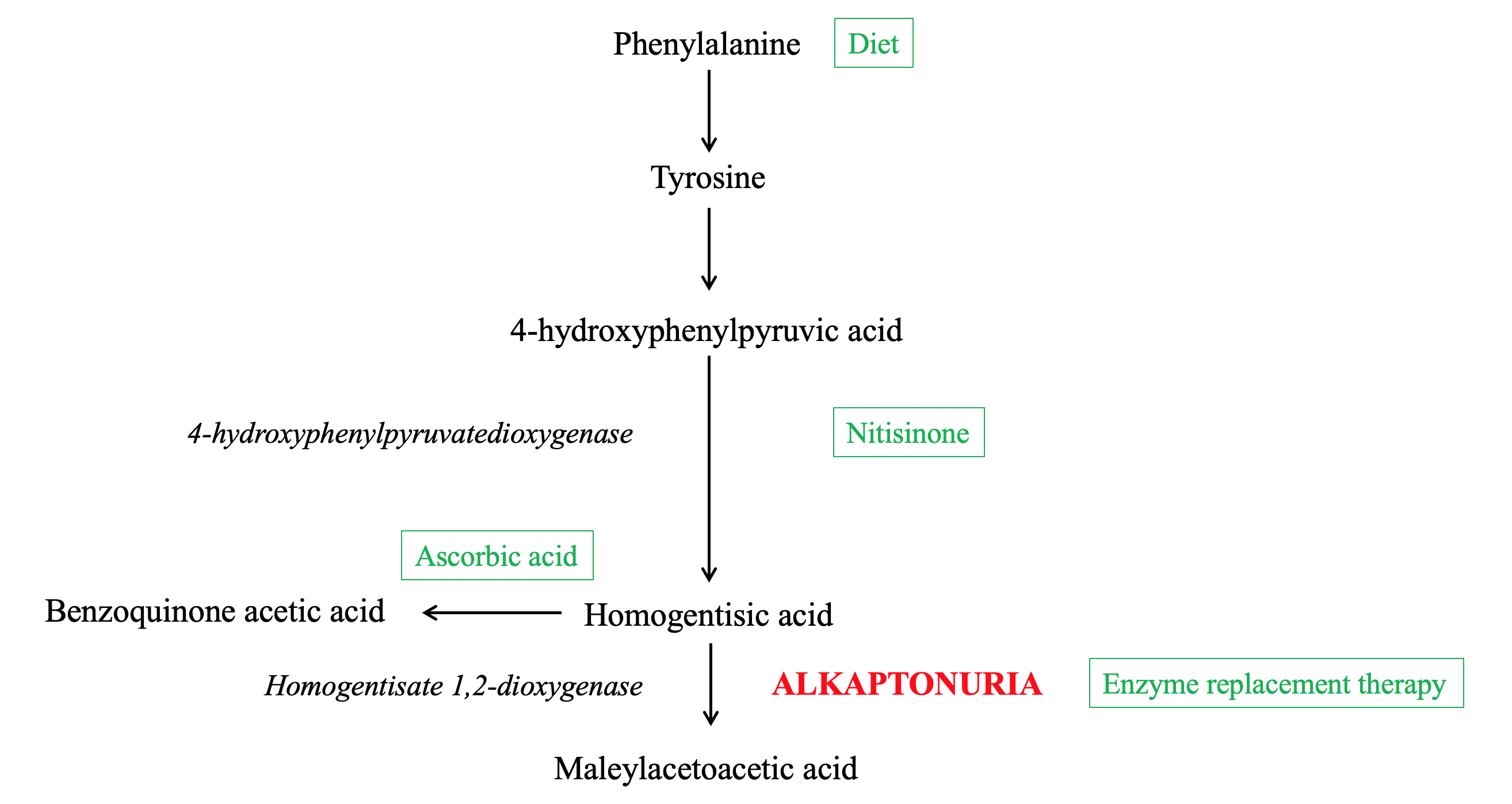 Phenylalanine catabolism pathway and steps of disease and treatment