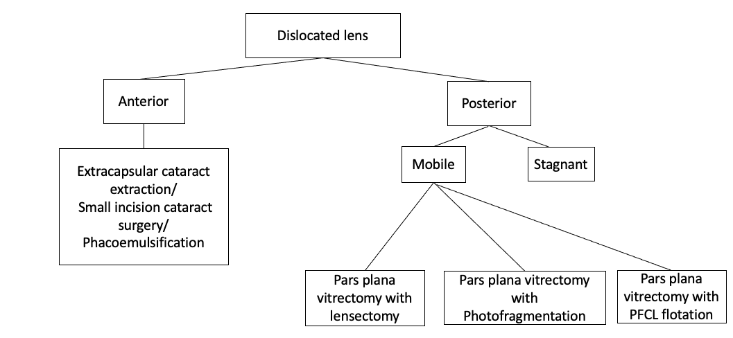 Flowchart depicting management of dislocated lens in ectopia lentis