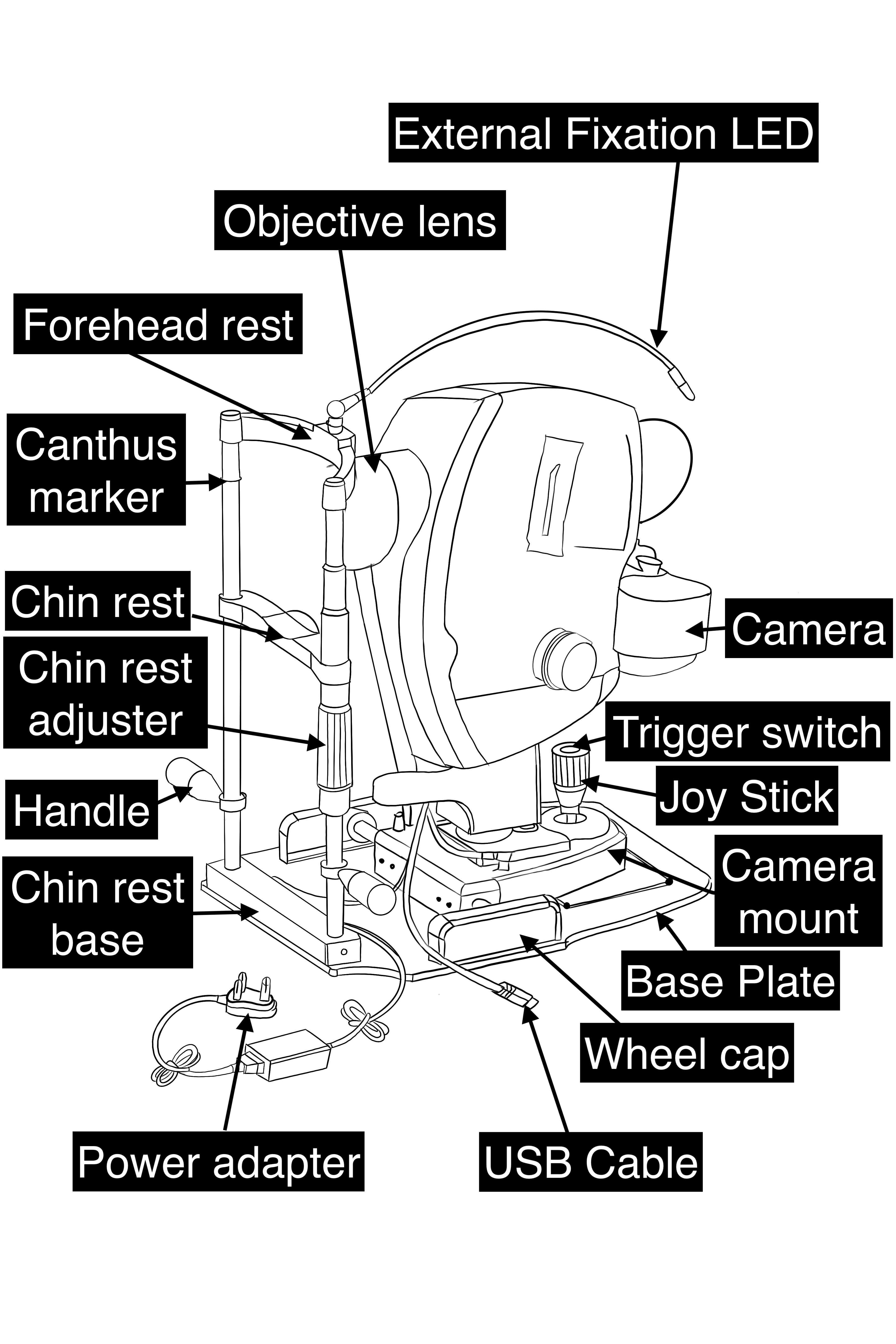 Parts of a fundus camera are shown in a schematic diagram of a typical fundus camera