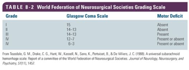 World Federation of Neurological Societies Grading Scale (WFNS)