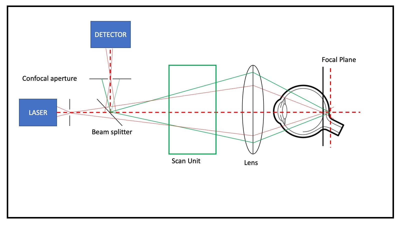 Figure depicting the the optics of Scanning Laser Ophthalmoscope