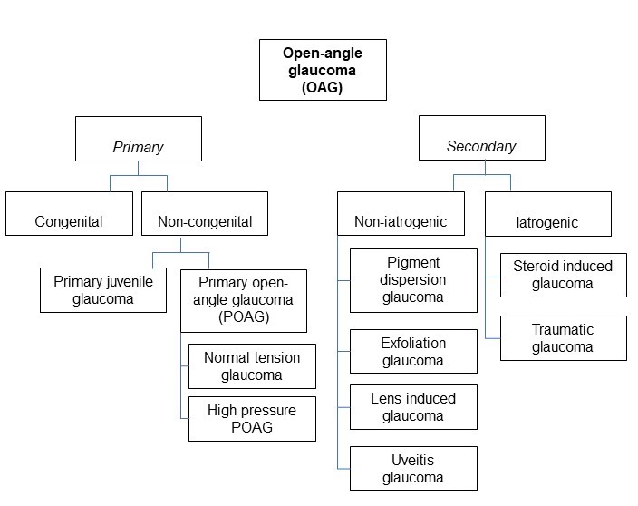 Classification of open-angle glaucoma.