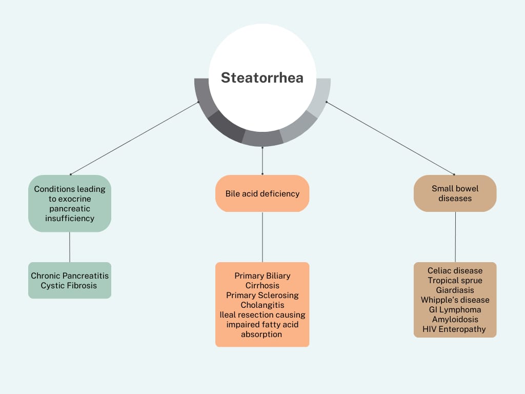 Causes of steatorrhea flow sheet
