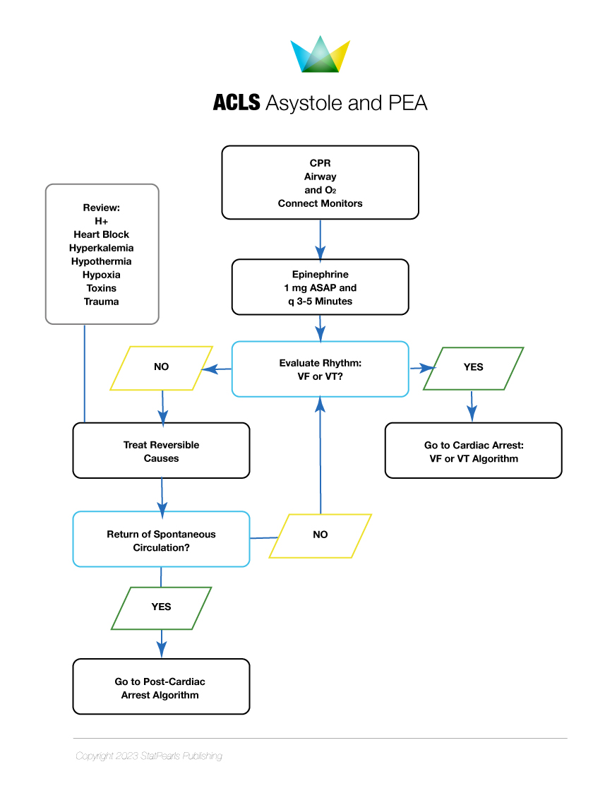 <p>ACLS Algorithm for&nbsp;Asystole and PEA