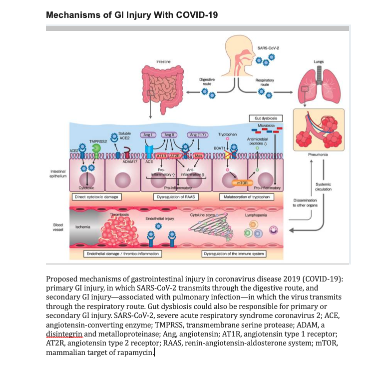 <p>Mechanisms of Gastrointestinal&nbsp;Injury With COVID-19
