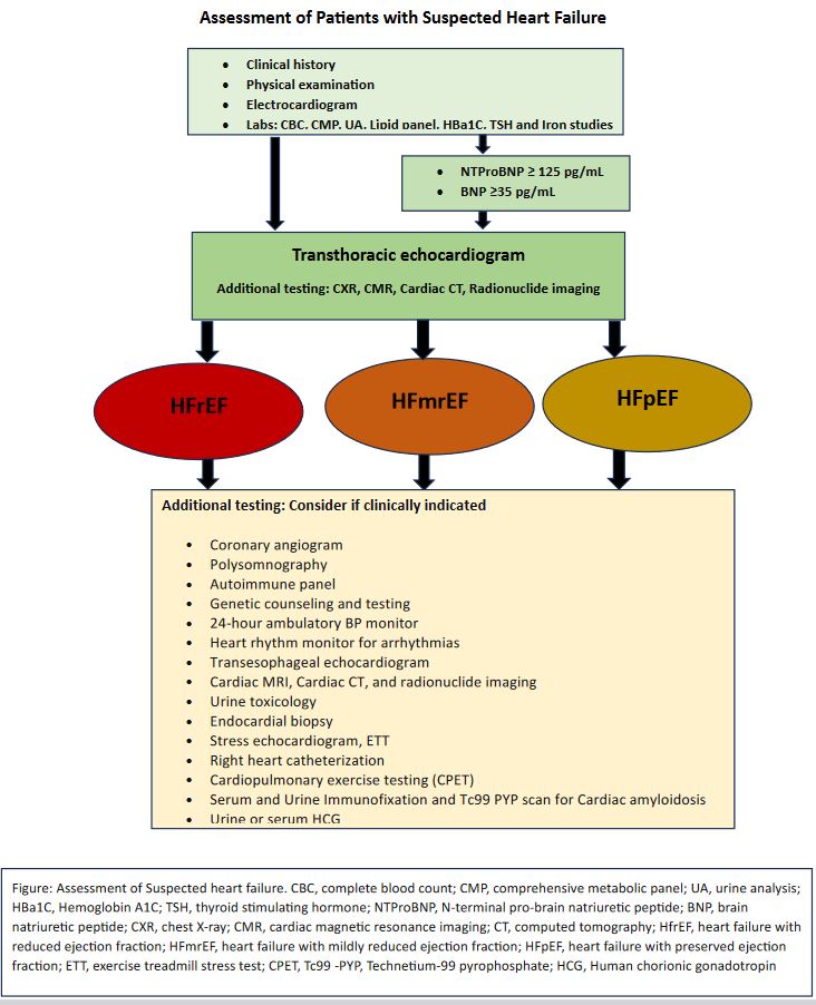 <p>Flowsheet. Assessment of Patients with Suspected Heart Failure</p>