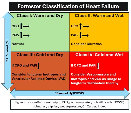 <p>Forrester classification and management of heart failure</p>