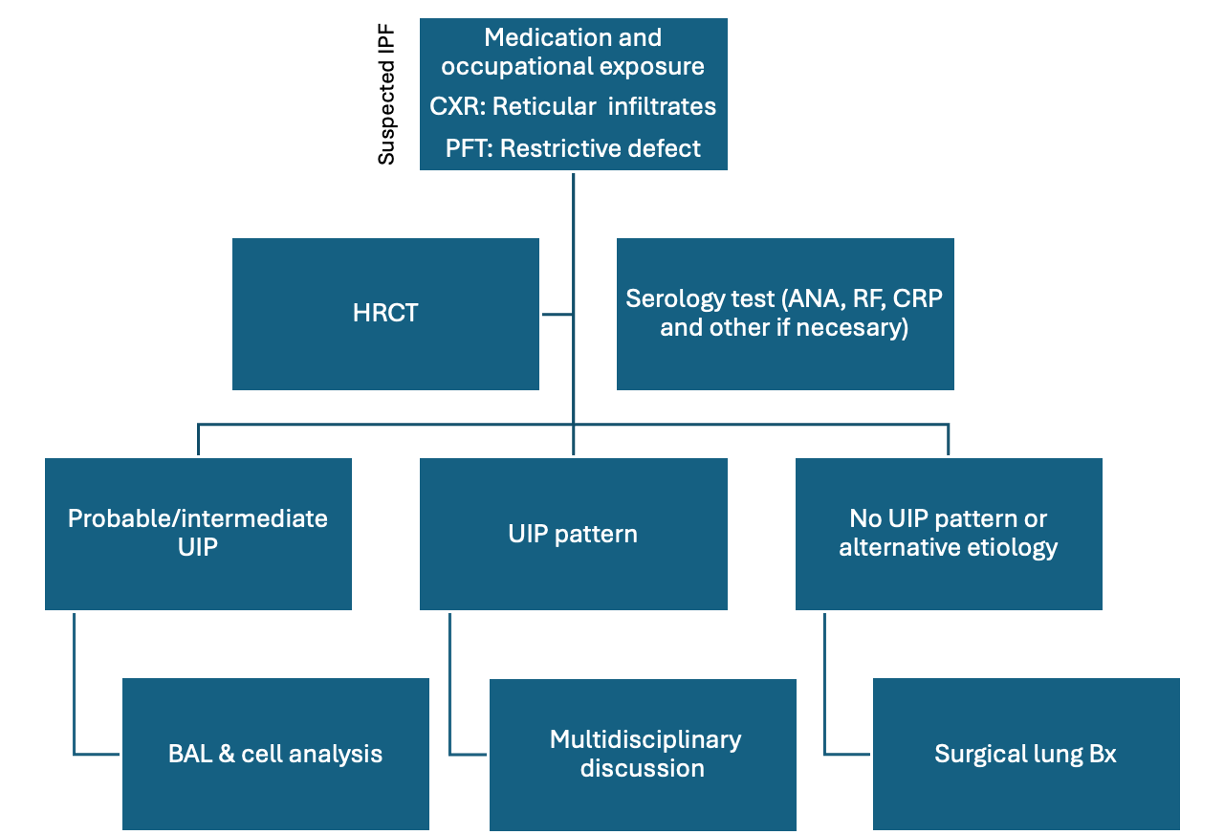 <p>Diagnostic Algorithm for Evaluating Suspected IPF