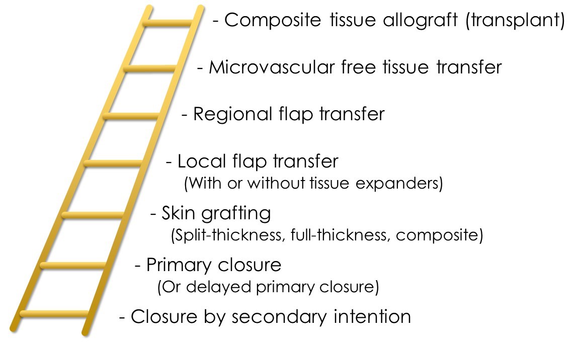 <p>Reconstructive Ladder