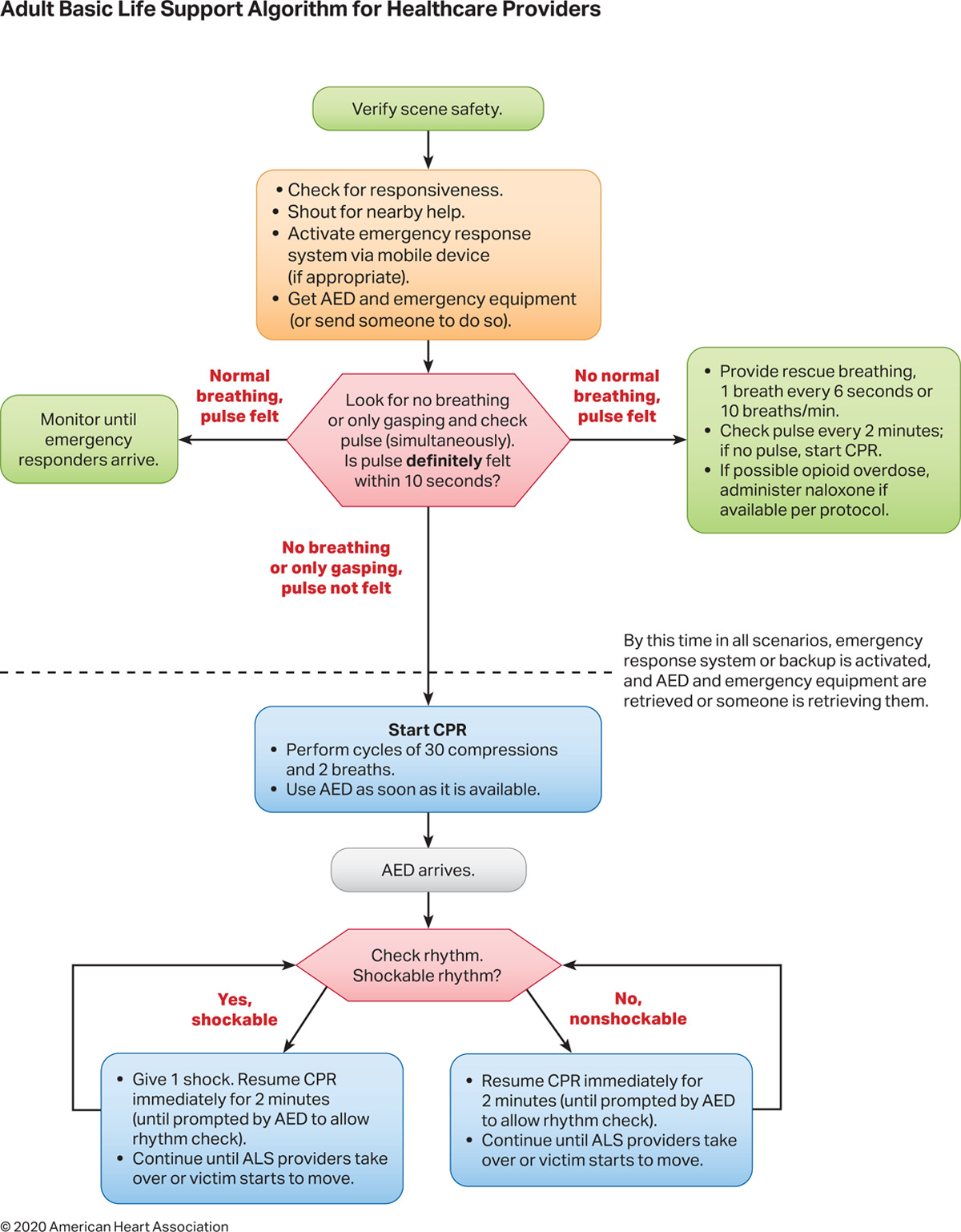 <p>Adult Basic Life Support Algorithm for Healthcare Providers 2020