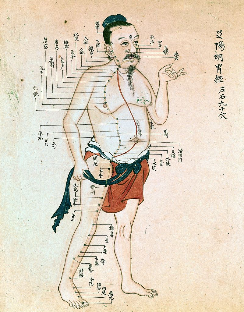 Acupuncture chart with a series of points