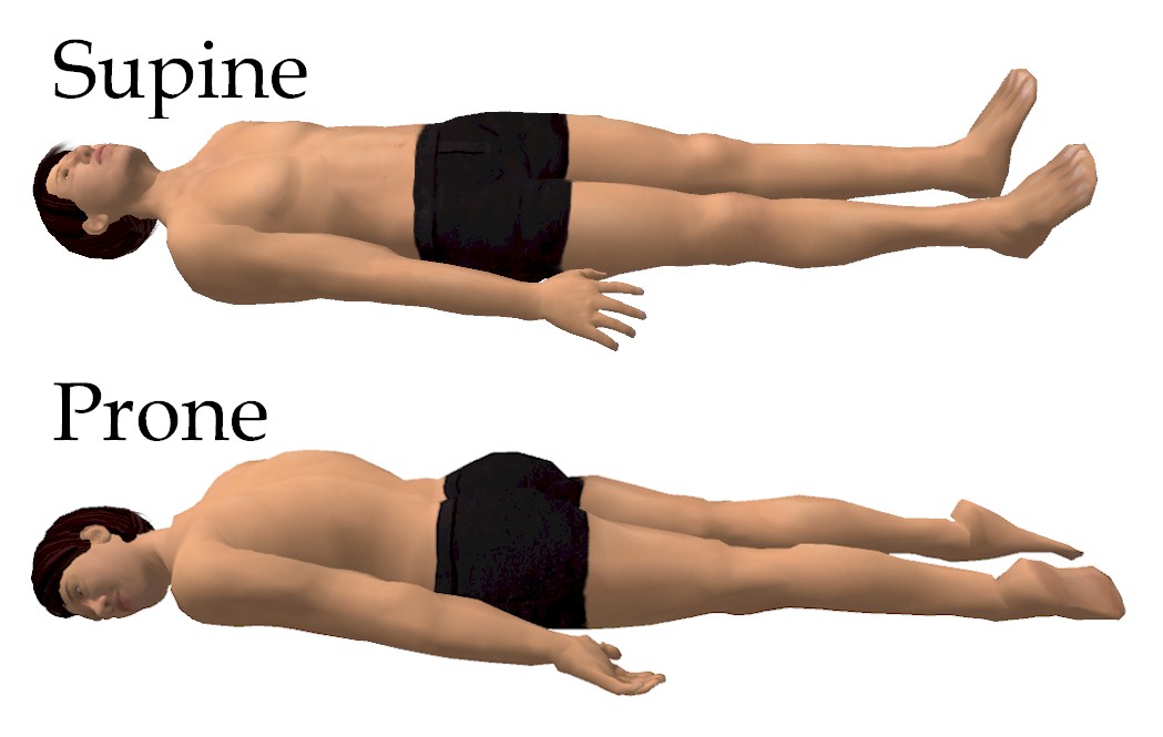 Supine and Prone Positions