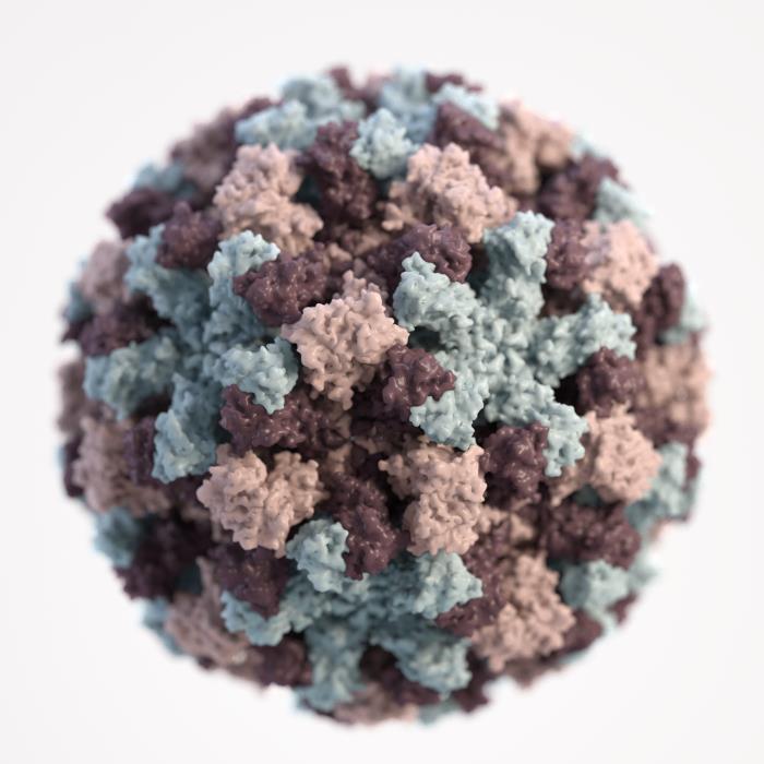 Pathology, 3D graphical representation of Norovirus virion, Virus, Norwalk-like viruses