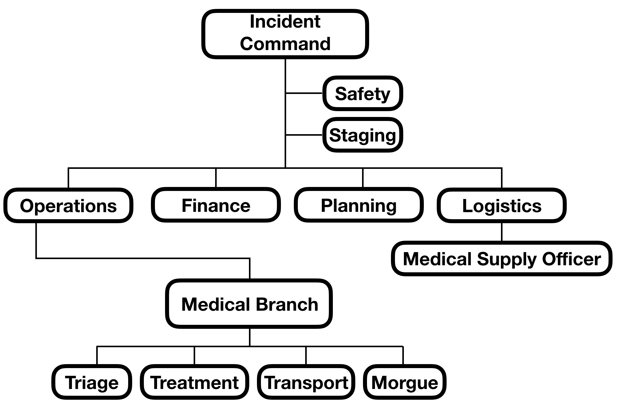 Organizational Chart for Incident Command System; Medical Branch Depicted