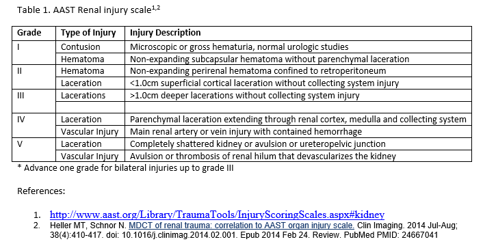 AAST Renal Injury Scale