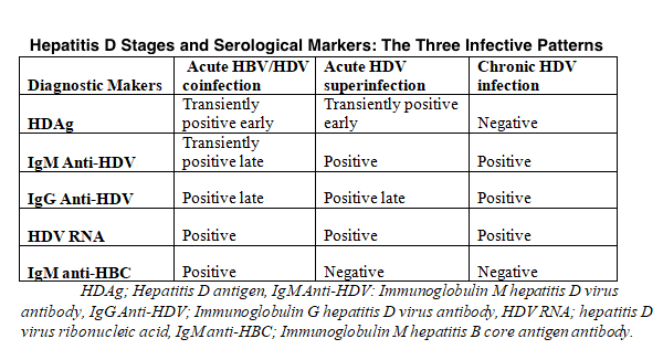 Hepatitis D stages and serological markers.