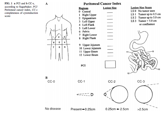 <p>Peritoneal Cancer Index</p>